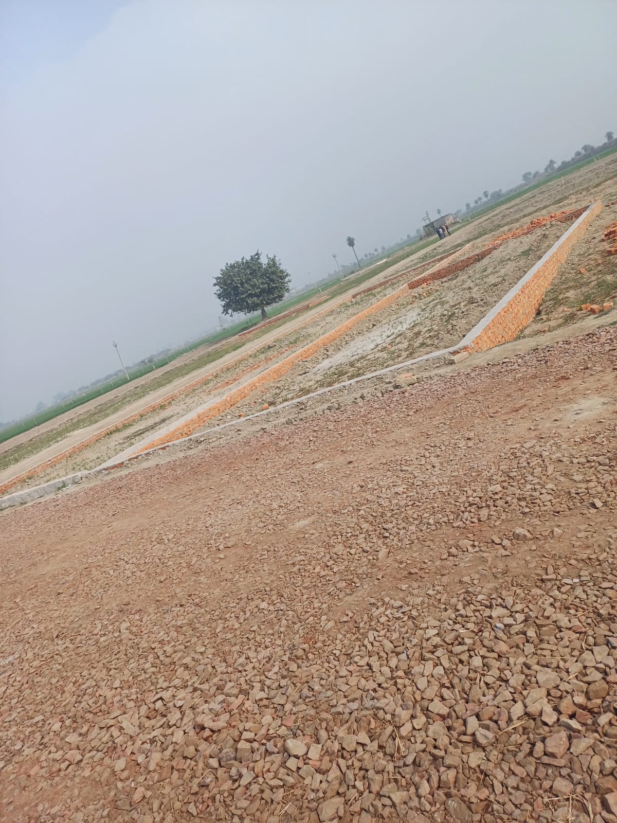 Plot For Resale in Bhopani Village Faridabad  6390523