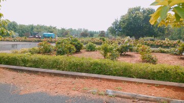  Plot – Garden View at Bhogapuram - for Sale
