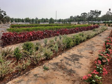  Plot – Garden View at Bhogapuram - for Sale