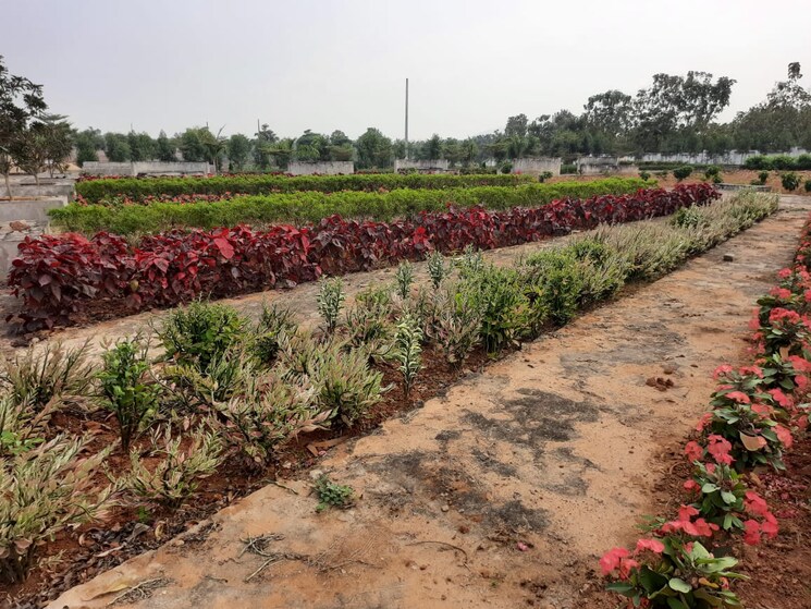 Garden, bhogapuram  350 Sq.Yd. Plot In Bhogapuram Vizag 6390505