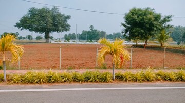  Plot – Exterior View View at Thagarapuvalasa - for Sale