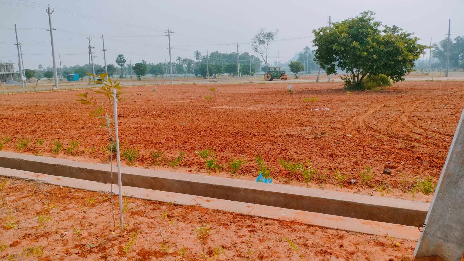 Plot For Sale in Thalluri Township PhasE-I