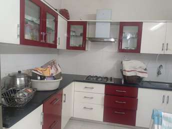 2 BHK Apartment For Rent in Nandan Spectra Balewadi Pune 6391087