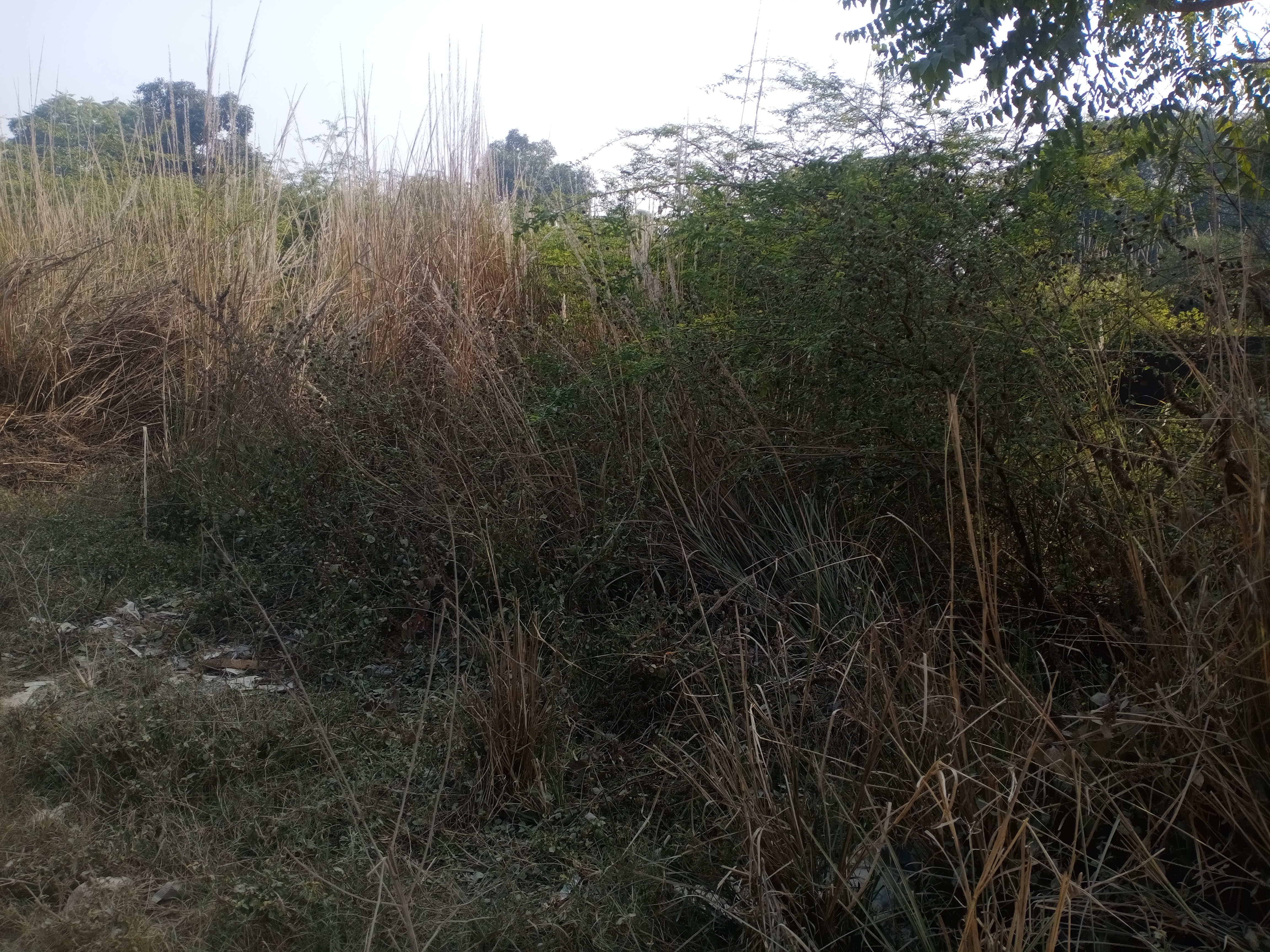 Resale 1800 Sq.Ft. Plot in Bijnor Road Lucknow 6391289