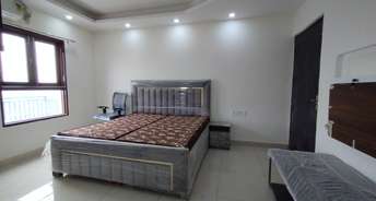 1 RK Independent House For Rent in Sector 24 Gurgaon 6391357