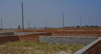  Plot For Resale in Gn Sector Delta ii Greater Noida 6392854