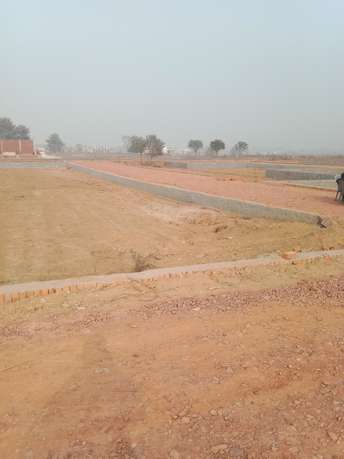 Plot For Resale in Sector 12 Greater Noida  6393061