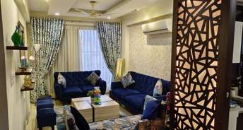 3 BHK Builder Floor For Resale in Sushant Residency F Block Sushant Lok Iii Gurgaon 6393254
