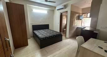 1 RK Apartment For Rent in Sector 41 Gurgaon 6393574