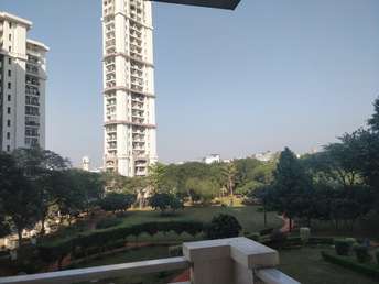 3 BHK Apartment For Rent in DLF Richmond Park Sector 43 Gurgaon 6393765