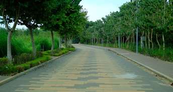  Plot For Resale in Whitefield Road Bangalore 6393909