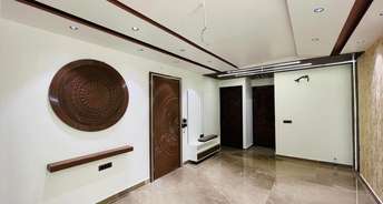 3 BHK Builder Floor For Rent in Pitampura Delhi 6393934