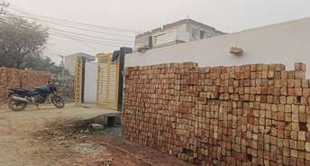  Plot For Resale in Mewala Maharajpur Faridabad 6395997