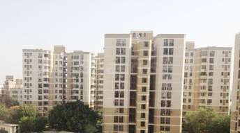 2 BHK Apartment For Rent in DLF Silver Oaks Sector 26 Gurgaon 6396087