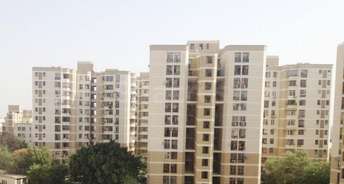 2 BHK Apartment For Rent in DLF Silver Oaks Sector 26 Gurgaon 6396087