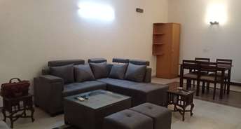 1 BHK Builder Floor For Rent in Jor Bagh Delhi 6396363