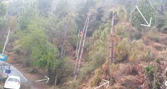 Plot For Resale in Jutogh Shimla 6396459