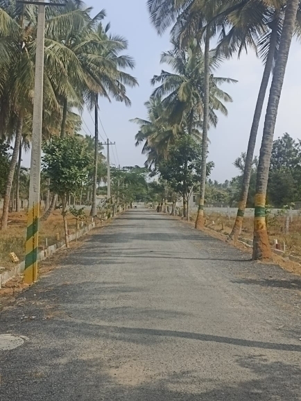 Plot For Resale in Bannerghatta Road Bangalore  6396621