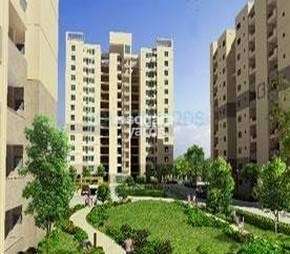 3 BHK Apartment For Resale in Vatika Gurgaon 21 Sector 83 Gurgaon  6396746