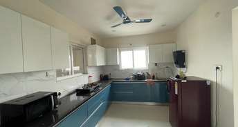 3 BHK Apartment For Rent in Mantri Group Celestia Gachibowli Hyderabad 6397123