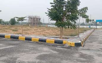  Plot For Resale in New Mallepally Hyderabad 6397281