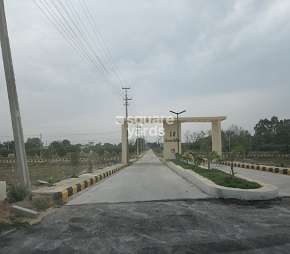 Kandhi To Shankarpalli Odf Road