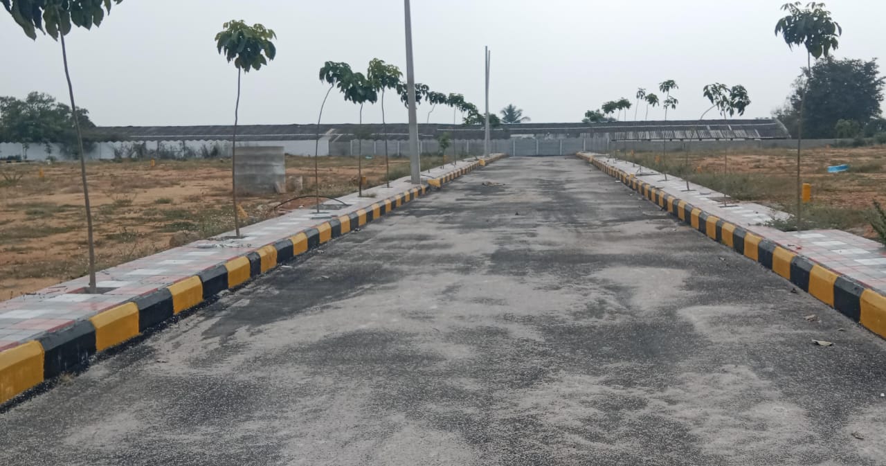  Plot For Resale in Ram Nagar Hyderabad 6398027