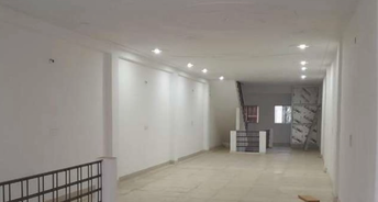 Commercial Showroom 150 Sq.Ft. For Rent In Nh 10 Bahadurgarh 6398061