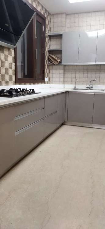 3 BHK Builder Floor For Rent in Chittaranjan Park Delhi 6398165