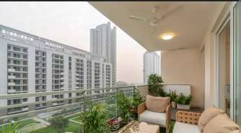 3 BHK Apartment For Resale in DLF Ultima Phase II Sector 81 Gurgaon  6398355