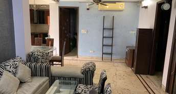 3 BHK Builder Floor For Rent in Shivalik Apartments Malviya Nagar Malviya Nagar Delhi 6398775