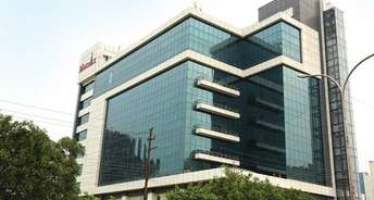 Commercial Office Space 600 Sq.Ft. For Rent In Sector 132 Noida 6399434