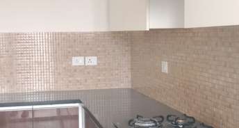 3.5 BHK Apartment For Rent in Sector 85 Mohali 6399893