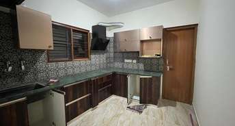 3 BHK Apartment For Rent in Nagarjuna Green Ridge Hsr Layout Bangalore 6399903