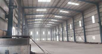 Commercial Warehouse 4000 Sq.Mt. For Rent In Sector 155 Noida 6399917
