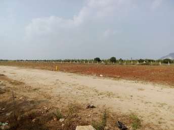 Commercial Land 1025 Sq.Ft. For Resale In Pandaripuram Ongole 6400510