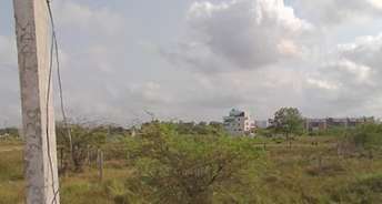  Plot For Resale in Dream Castle Urapakkam Urapakkam Chennai 6400027