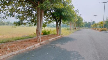  Plot – Exterior View View at Bhogapuram - for Sale