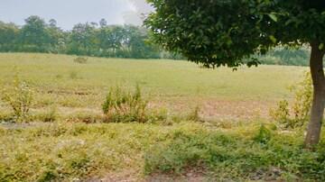  Plot For Sale in Bhogapuram