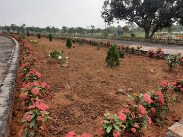 Plot Area in  Plot at Bhogapuram – for Sale