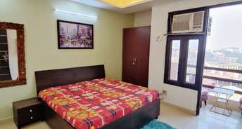 1 BHK Apartment For Rent in Sector 24 Gurgaon 6401600