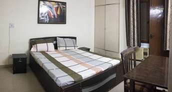 3 BHK Apartment For Rent in Ardee City Sector 52 Gurgaon 6401808
