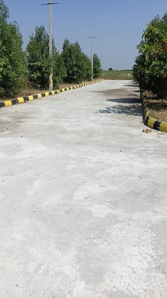 Plot For Resale in Mominpet Hyderabad  6401908