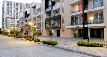 2 BHK Apartment For Resale in Pabhat Zirakpur 6401902