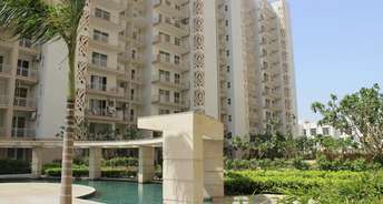 6+ BHK Penthouse For Rent in Tulip Ivory Sector 70 Gurgaon 6402009