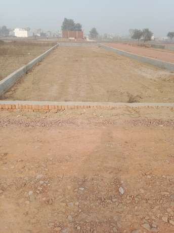  Plot For Resale in Sector 12 Greater Noida 6402029