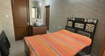 2 BHK Apartment For Rent in RWA Apartments Sector 29 Sector 29 Noida 6402089