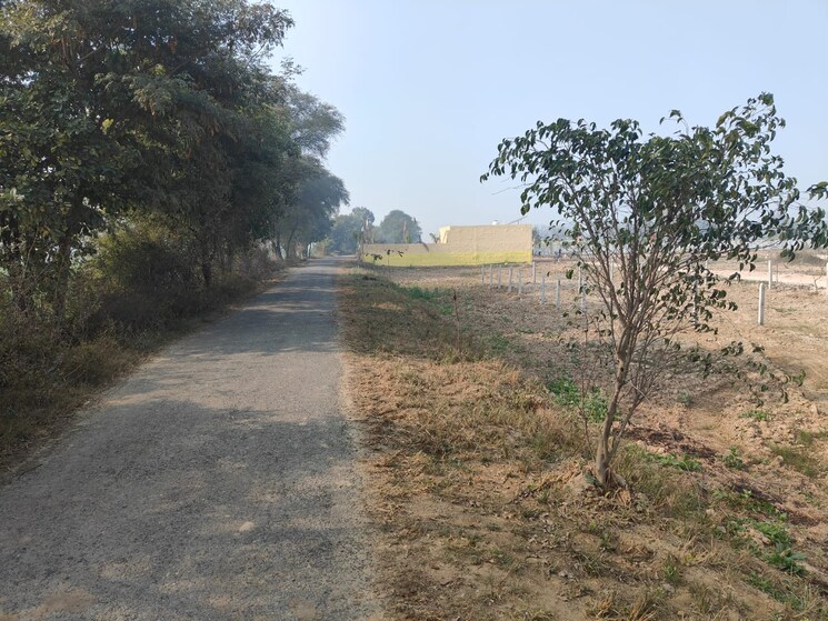 undefined, chaumuhan  100 Sq.Yd. Plot In Chaumuhan Vrindavan 6402082