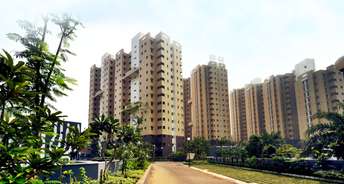 1 BHK Apartment For Rent in Ambuja Neotia Bengal Ambuja Upohar Garia Kolkata 6402103