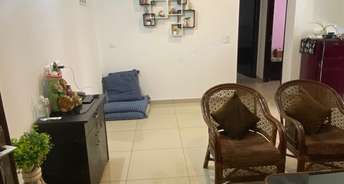 3 BHK Apartment For Rent in Sector 16 Greater Noida 6402213